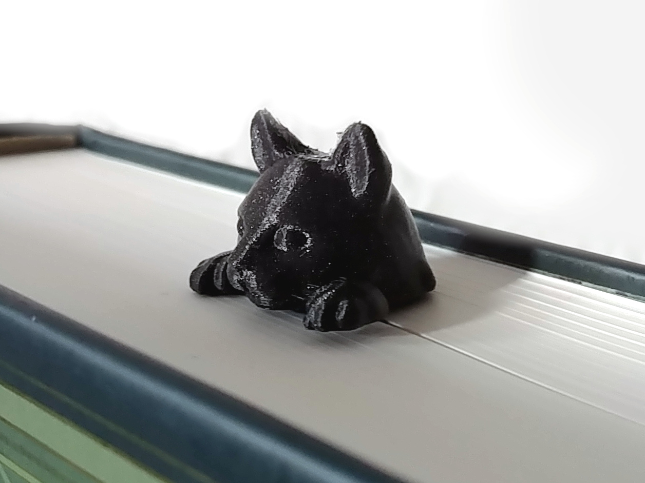 Marcador de página gato espiando 3D